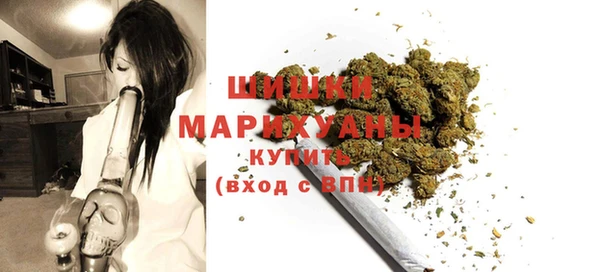 хмурый Покачи