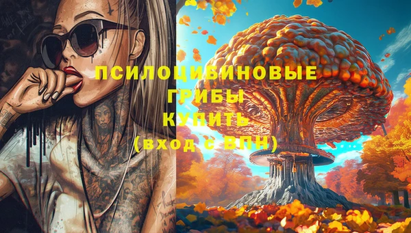 хмурый Покачи