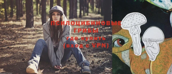 сатива Покров