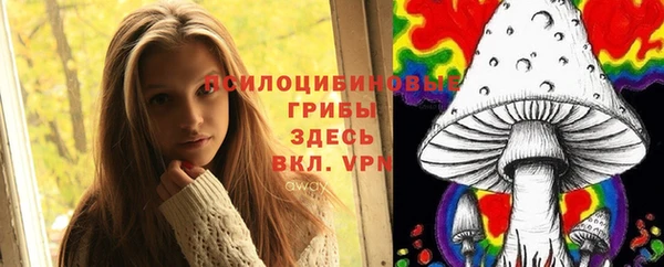 хмурый Покачи
