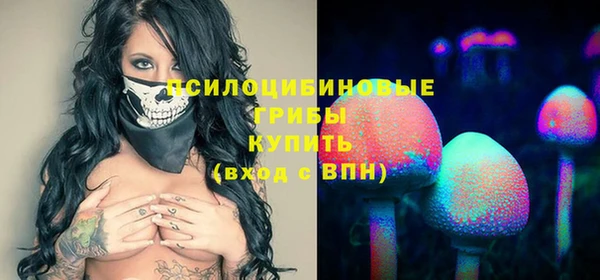 хмурый Покачи