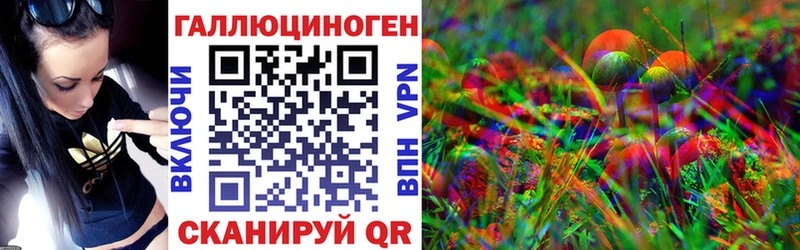 дарнет шоп mega онион Псилоцибиновые грибы прущие грибы Артёмовск